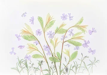Floating Pastel Botanicals