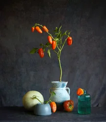 Orange Tomatoes Rustic Still Life