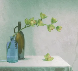 Orchids and Blue Bottle
