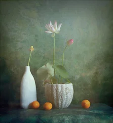 Serene Lotus Still Life