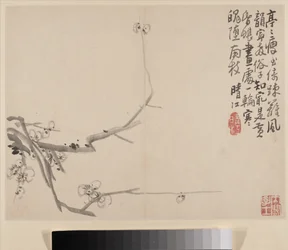 Album of Blossoming Plum