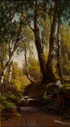 Forest Creek