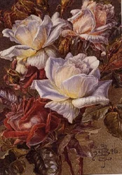 A Bunch of Roses