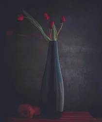 Elegant Red Tulips