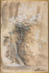 Flowering Bush above an Eroded Bank