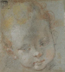 Head of a Child, late 16th century