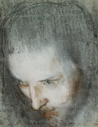 Head of Saint Francis Looking Upwards to the Left