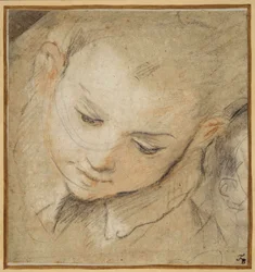 Head of a Boy Looking Down