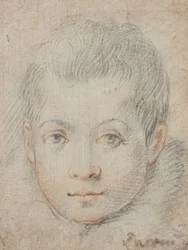 Head of a Boy