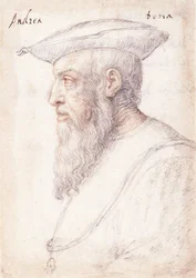 Portrait of Andrea Doria in profile to the left, wearing the order of the Golden Fleece