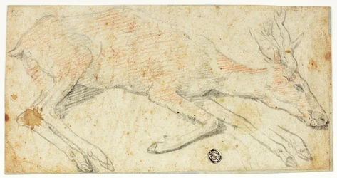 Recumbent Deer