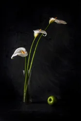 Calla Lilies And Apple