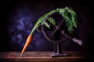 Carrot and Iron Gears
