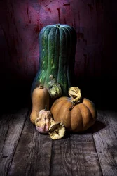 Dark Harvest Still Life