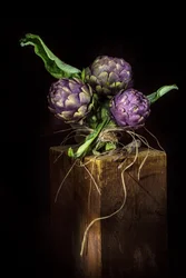 Elegant Purple Artichokes