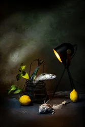 Mackerel and Lemon Light