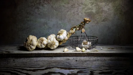 Rustic Garlic Still Life