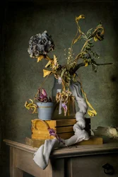 Vintage Dried Still Life