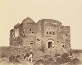 Mosque Piquet