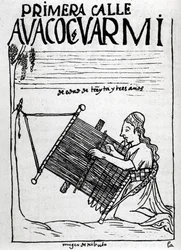 The first 