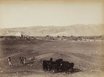 A Rocky Area with Children and Grazing Animals, Egypt