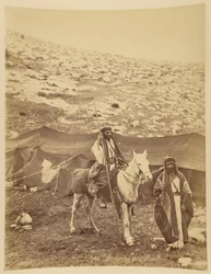 Bedouins of Moab