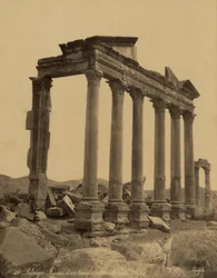 Colonnade and Remains of the Temple in Palmyra, Syria
