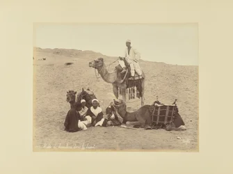 Camel Drivers