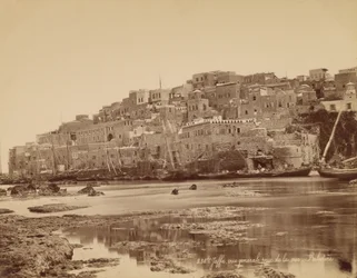 Jaffa, General View Taken from the Sea - Palestine