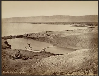 The Dead Sea, Palestine