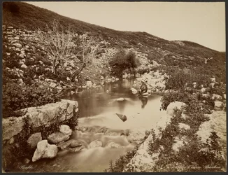 The Fountain of Elisha, Palestine
