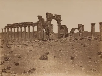 Palmyra: overview of the Triumphal Arch and Colonnade