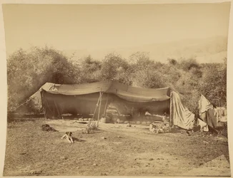 Tent of Nomadic Bedouins, Palestine