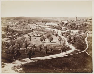 Valley of ... Palestine #313