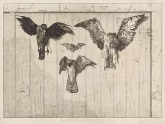 Birds Nailed to a Barn Door