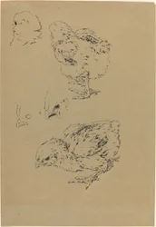 Chicks