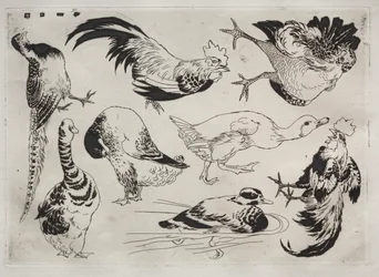 Dinner Service (Rousseau service): Roosters, Ducks, etc. (no. 13)