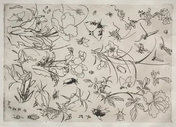 Dinner Service Rousseau Service: Flowers and Insects No. 15