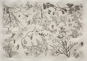 Dinner Service Rousseau Service: Flowers No. 22