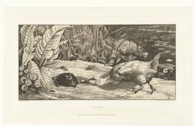 Duck and Turtle on the Bank of a Ditch