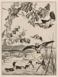 Lapwings and Teals, 1862
