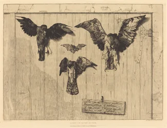 The Top of a Door Leaf (Birds Nailed to a Barn Door)