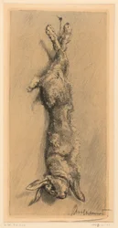 The Wild Rabbit