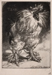 The French Cock