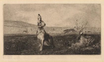 The Hare