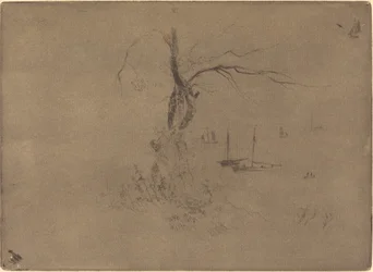 Trees and Boats