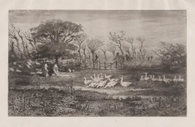 Geese