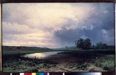 Flooded Meadow