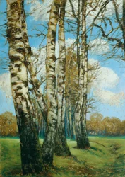 Birches