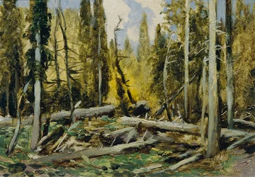 Bohemian Forest (from the Portfolio 